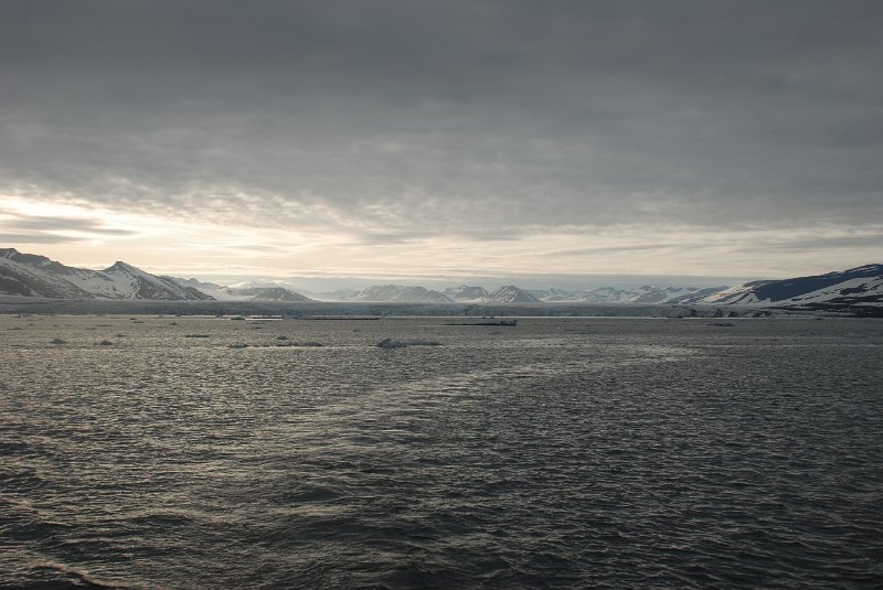 DSC_0206