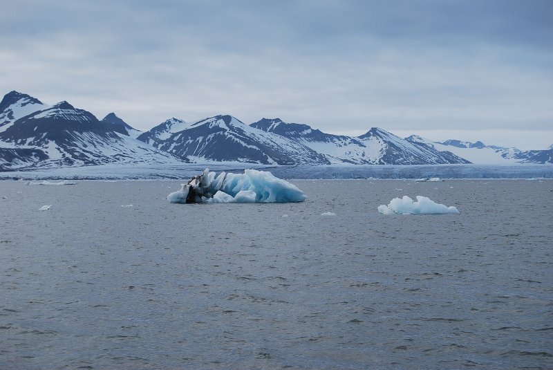 DSC_0600