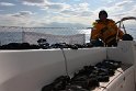 IMG_1352