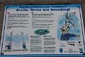 IMG_1571