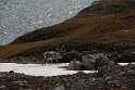IMG_1796