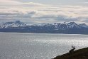 IMG_1798