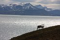 IMG_1799