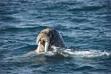 IMG_1913